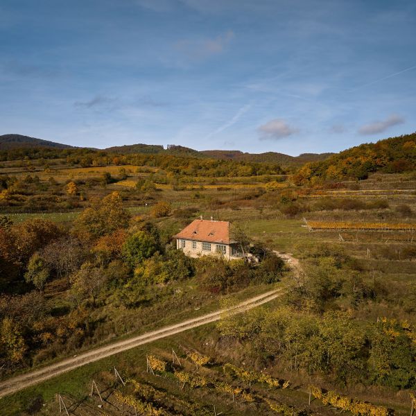 Hamrštíl, Modra