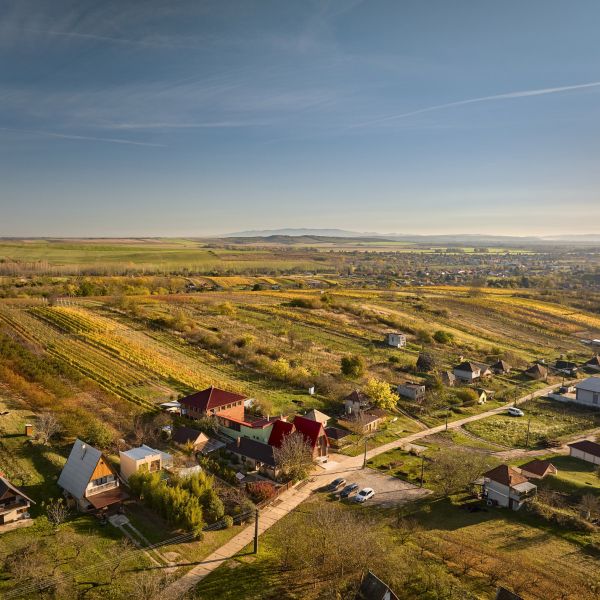 Bóna Winery