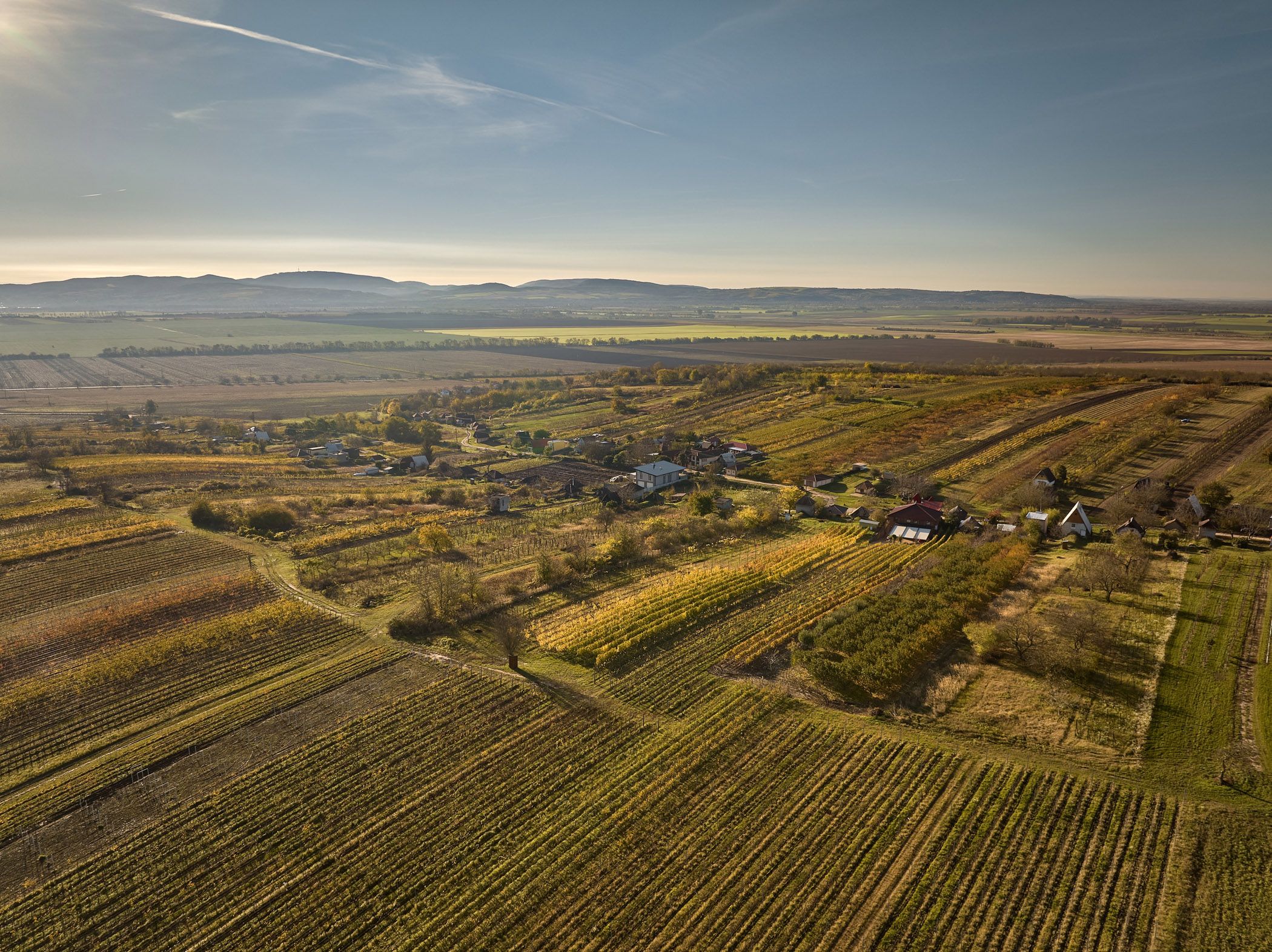202311 BonaWinery 103 e50ad1cd | Hi2SKY