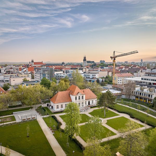 Ružový park, Trnava